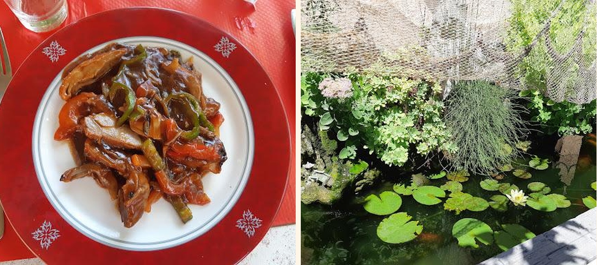 Le lotus bleu - Gallery Image 4