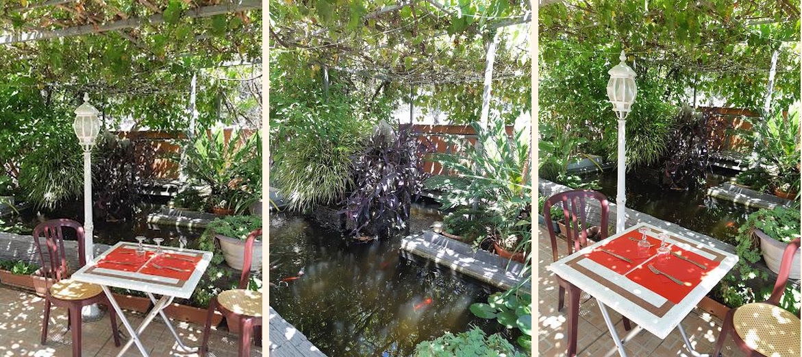 Le lotus bleu - Gallery Image 5